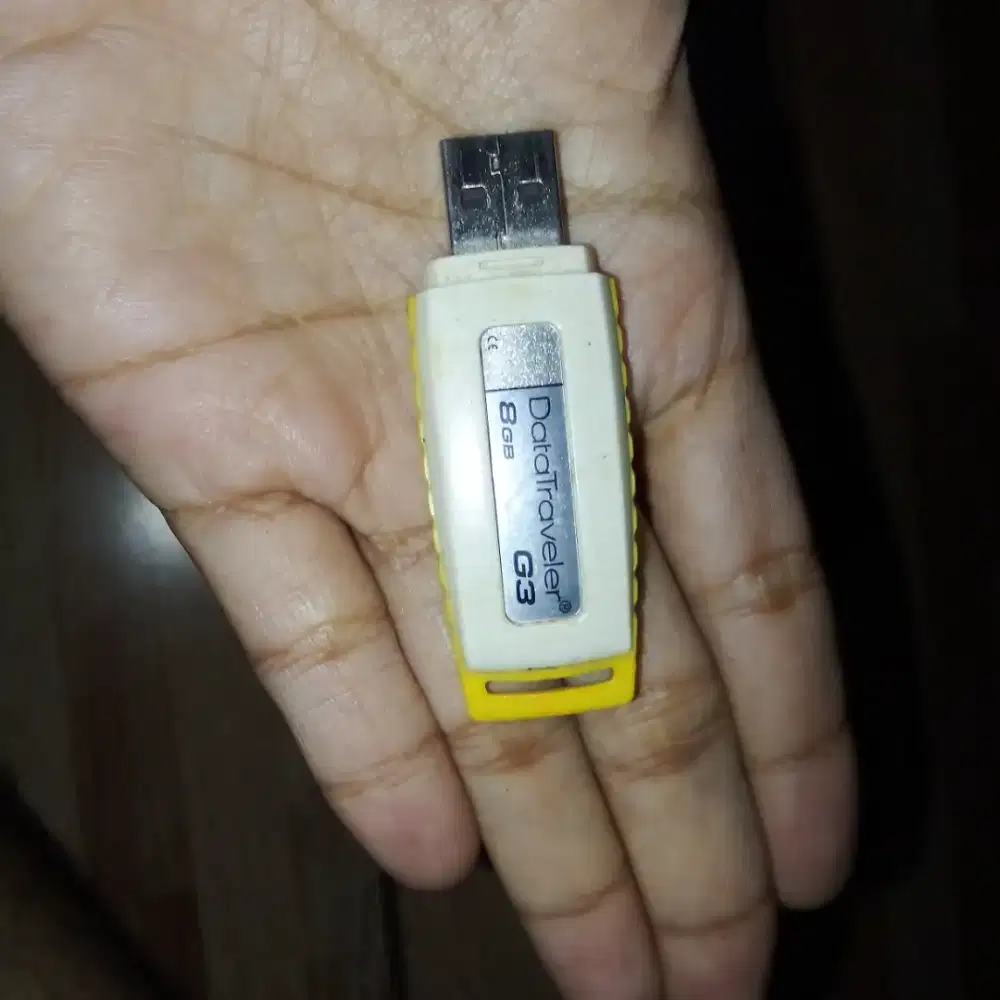 Flashdisk Kingston 8GB awet sudah bertahun-tahun pakai Bogor Utara