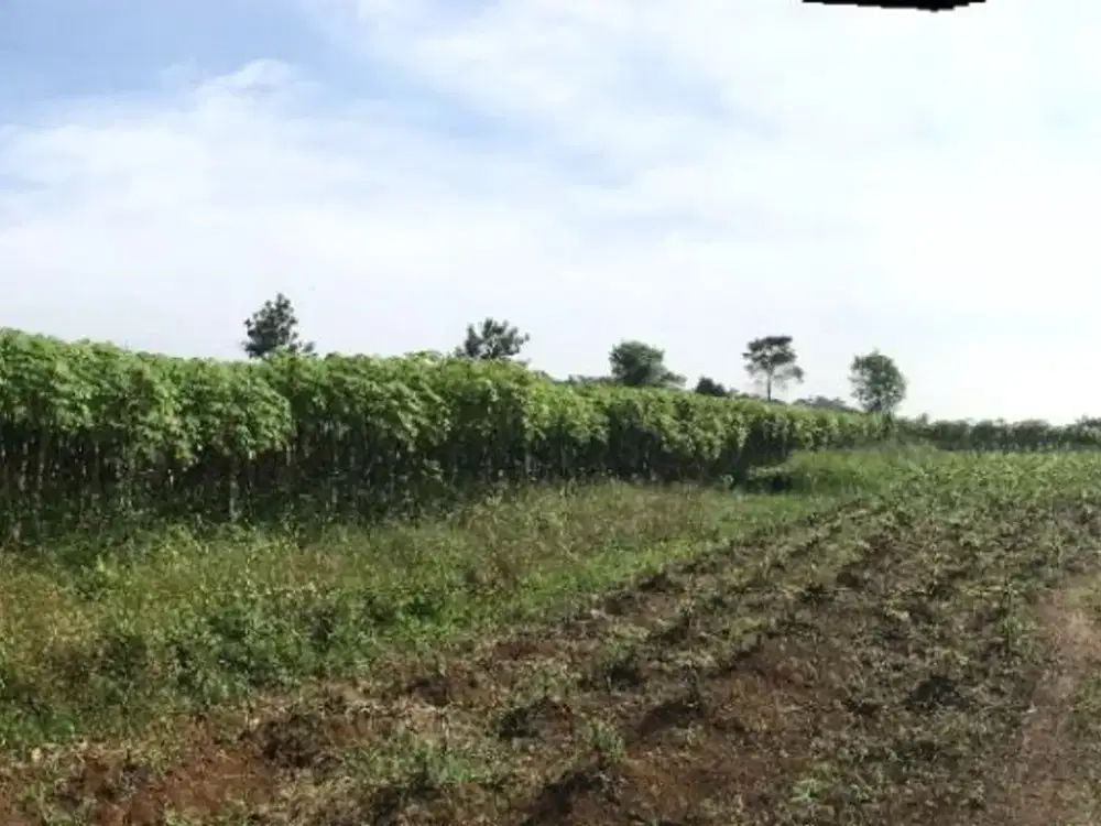 Dijual Cepat Tanah Cocok Untuk usaha berlokasi strategis