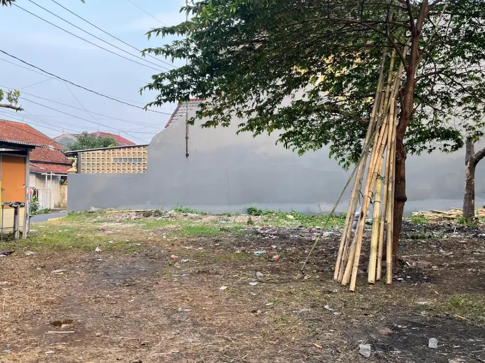 Kaveling Ciomas Bogor 5 Menit Terminal Bubulak Free SHM