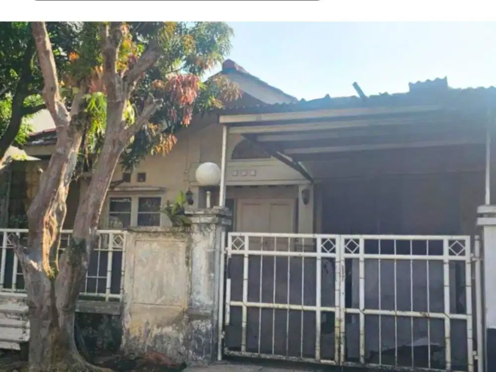 RUMAH STANDAR 1 LANTAI DI KENCANA LOKA BSD 'DMB31