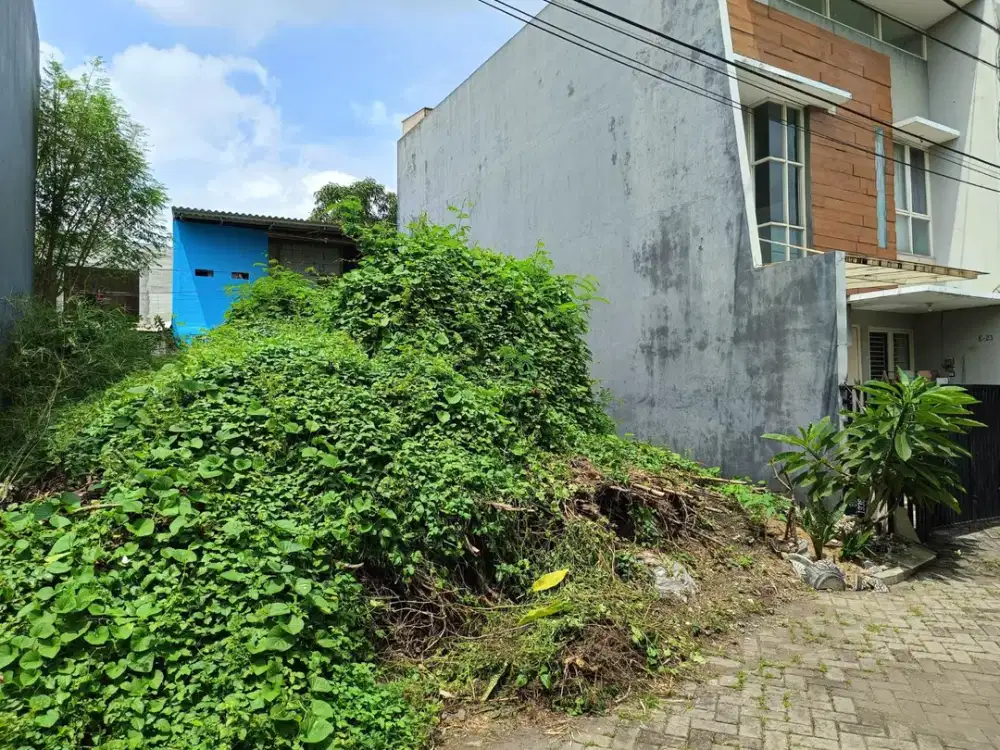 DISKON 50%! DIJUAL LELANG TANAH DI KOALA REGENCY DEKAT DENGAN WONOREJO, SEMOLOWARU, PURI GALAXY, ARAYA TAHAP 2, MEDOKAN SEMAMPIR INDAH