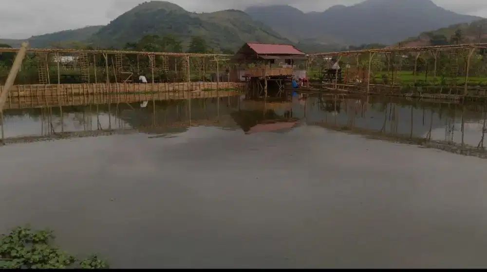 Jual Kolam ikan