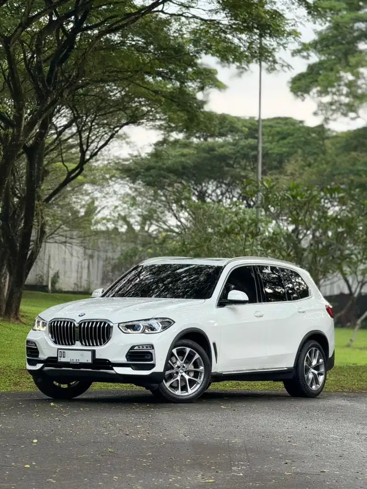 BMW X5 xDrive40i xLine G05 2019