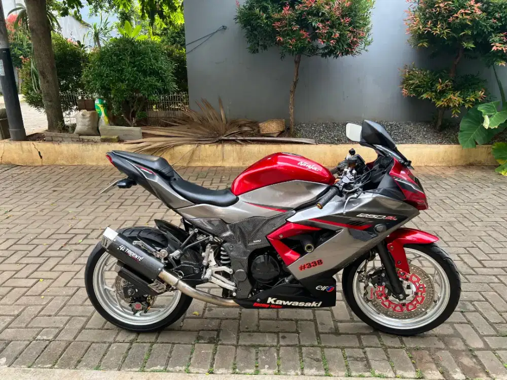 Ninja SL mono 2019