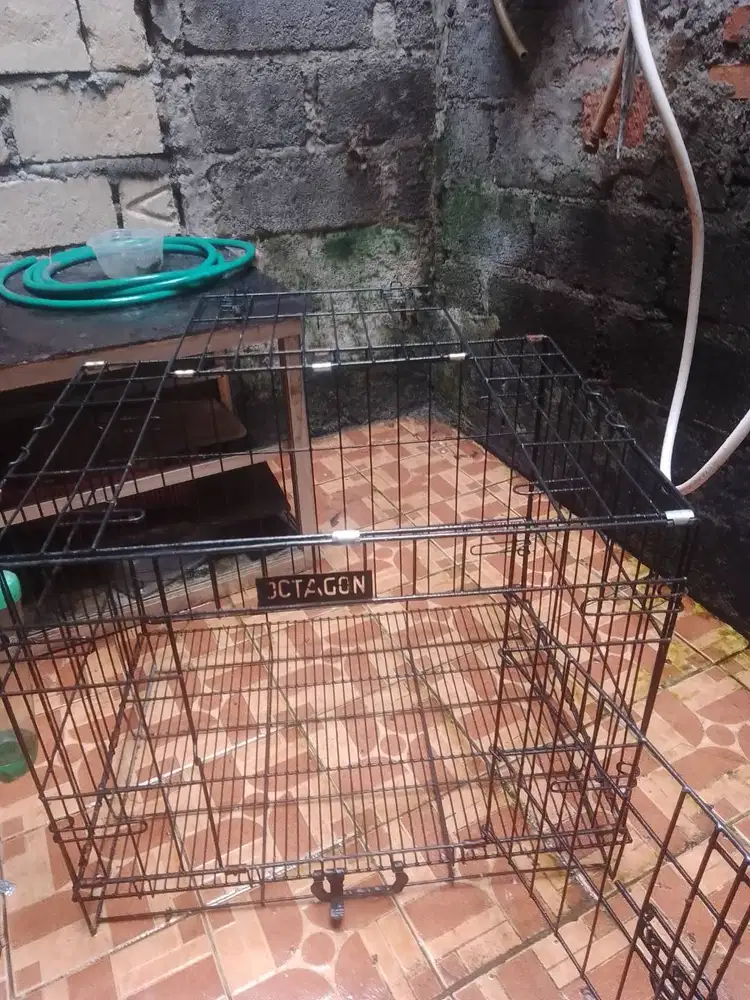 Jual cepat kandang kucing merk octagon. Panjang 60cm Tinggi 50cm Lebar