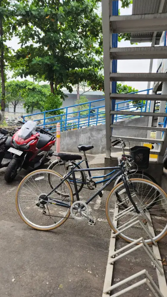 Sepeda united keranjang
