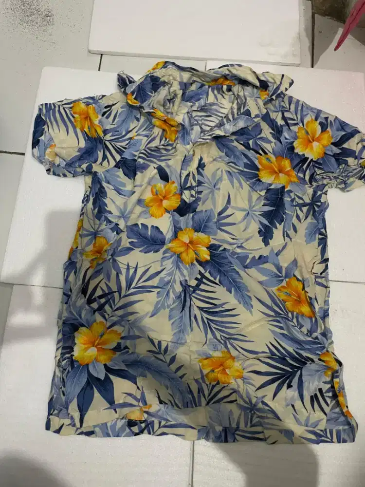 Kemeja pantai Lucu