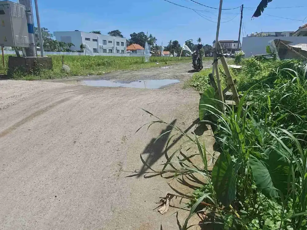 tanah kontrak termurah di seseh