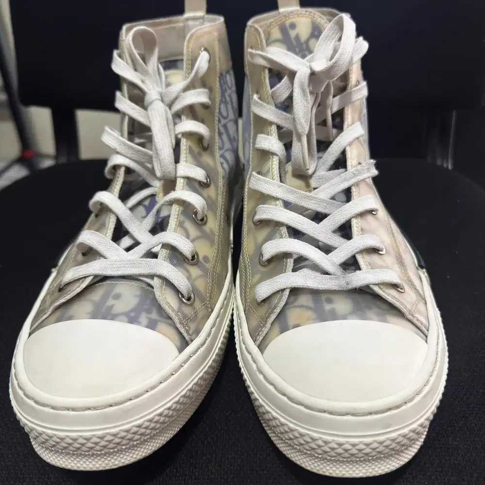 SEPATU DIOR LIMITED EDITION SIZE 43