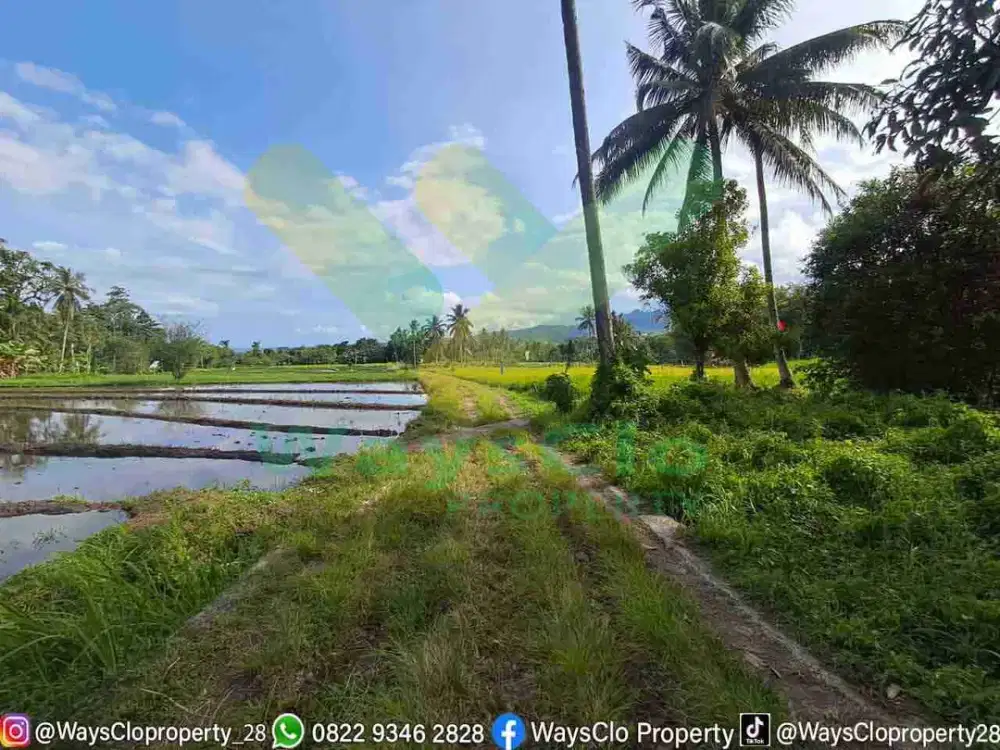 DIJUAL CEPAT TANAH PERTANIAN CANTIK DAERAH KAUDITAN, HARGA SANGAT MURAH