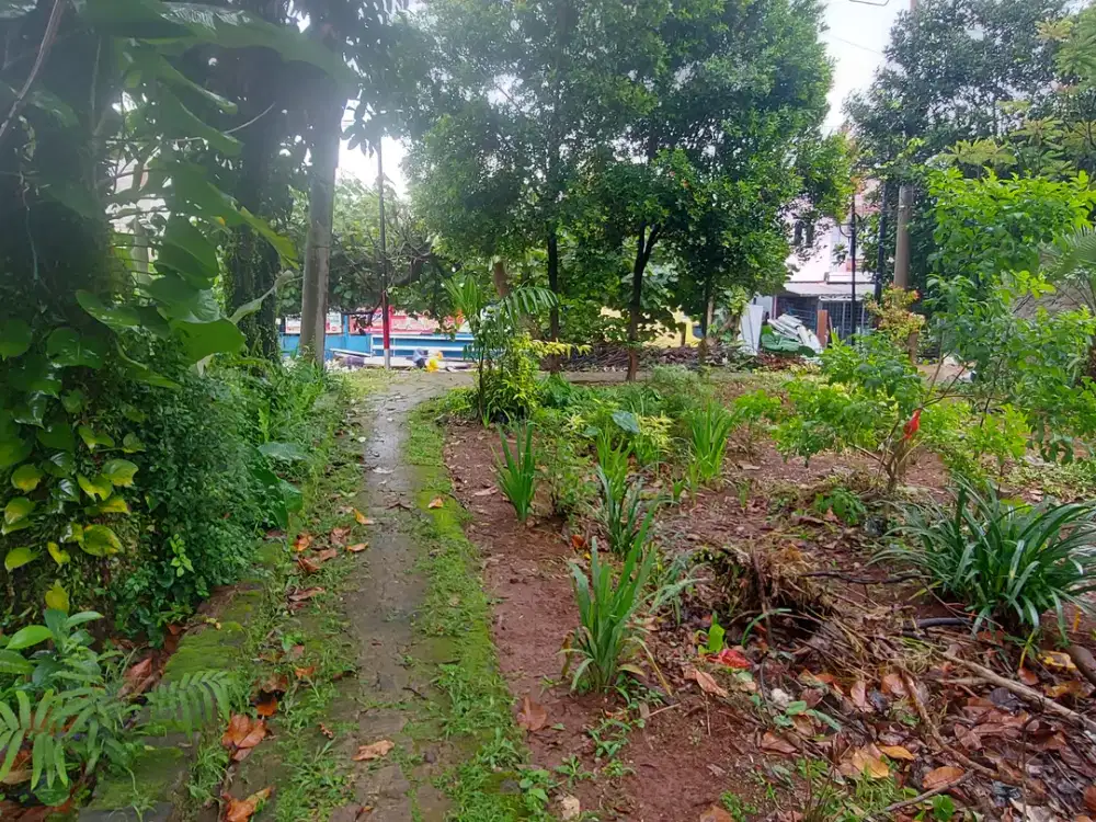 Tanah Hook di Daerah Pengasinan Depok, Jawa Barat
