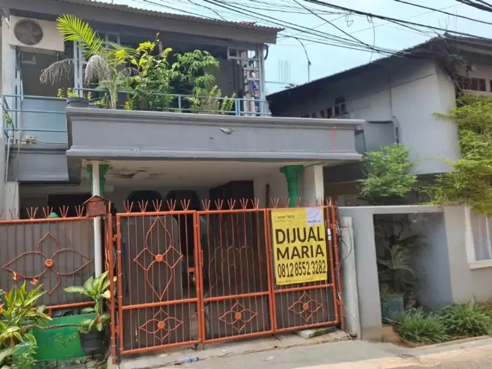 Rumah Kelapa Molek, Kelapa Gading