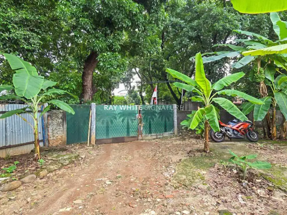 Tanah Kavling Luas 1600 meter di Jl Hang Jebat II