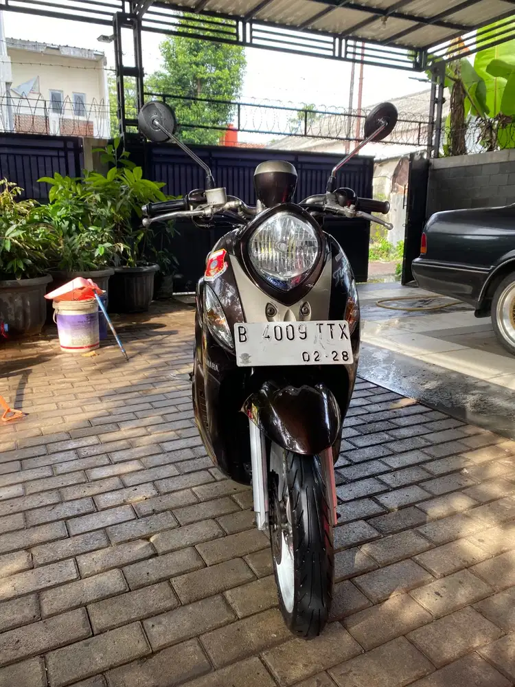 Fino Premium 2018