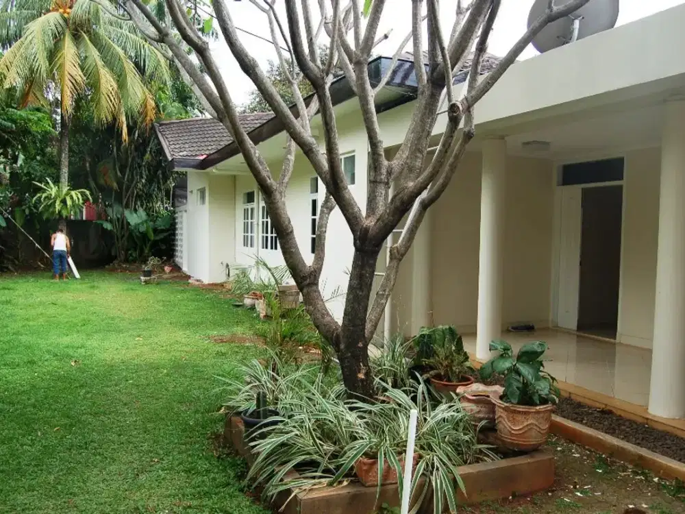 Rumah Satu Lantai Luas dengan Kolam Renang dan Taman