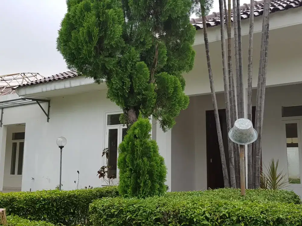 Classic and Bright House in Kemang