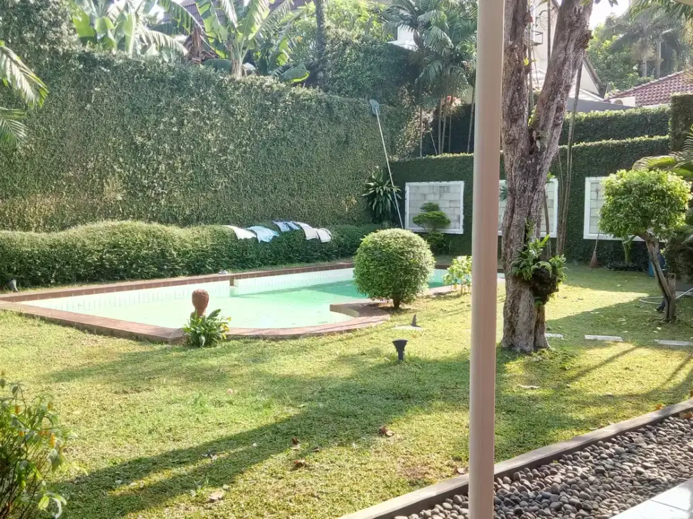Bright House with great backyard at Kemang Selatan