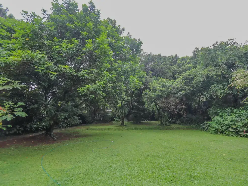 Rumah Mewah & Luas di Kawasan Andara Cilandak dekat Pondok Indah