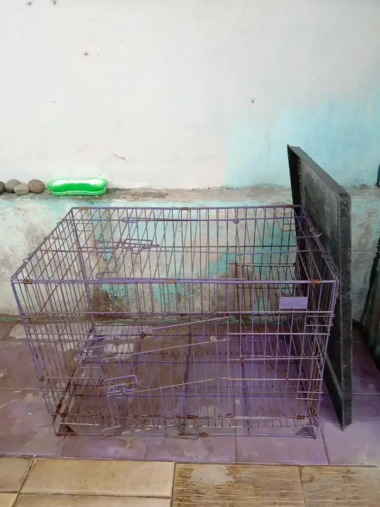 kandang kucing bekas
