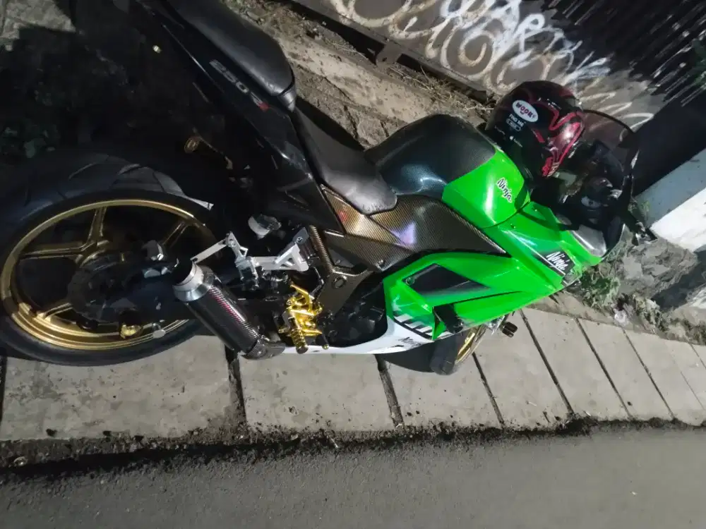 Kawasaki Ninja 250