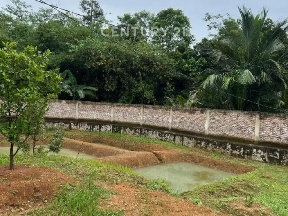 Dijual Tanah Kebun Lokasi Strategis Jalan Raya National S9035