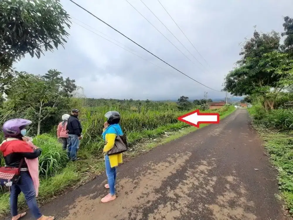 Tanah murah Tumpangrejo Ngenep karangploso Jual cpt B.U Poll L 4.270m2