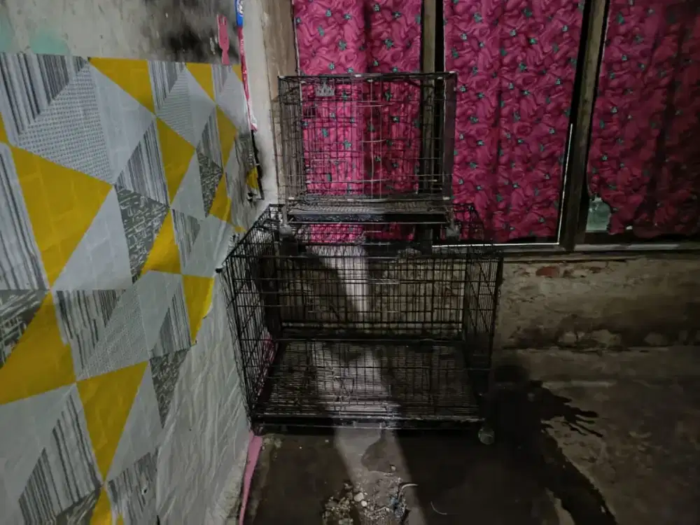 Kandang lipat bekas anjing uk XL + XXL