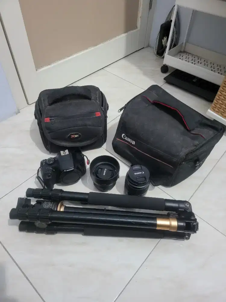 Kamera Canon 1300D, Lens Fix Canon 50mm,Tripod Kamera QingZhuangShiDai