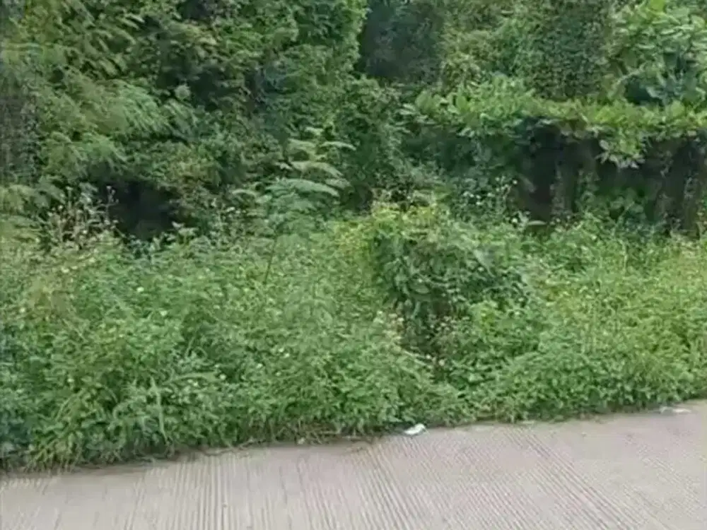 Dijual tanah kavling  tiga raksa