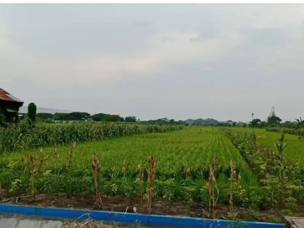 Di Jual Tanah Kedamean Jl. Dr Wahidin Sudirohusodo Kedamean Gresik