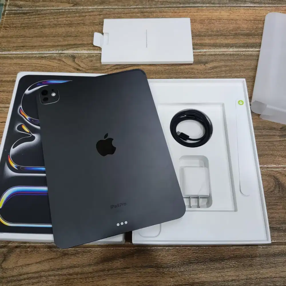 Ipad Pro M4 11 256gb Inter Mulus Murah