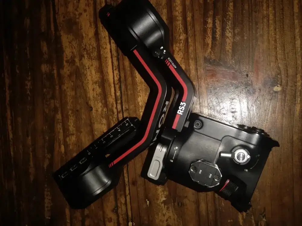 Stabilizer/ronin