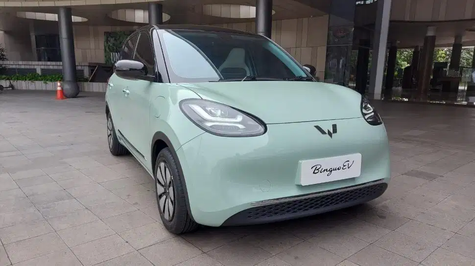 Binguo EV Lite 300
