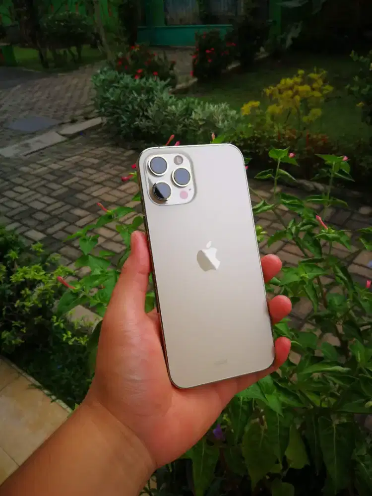 Iphone 12 Pro max 512Gb Dualsim sinyal permanen Fullset oryginal