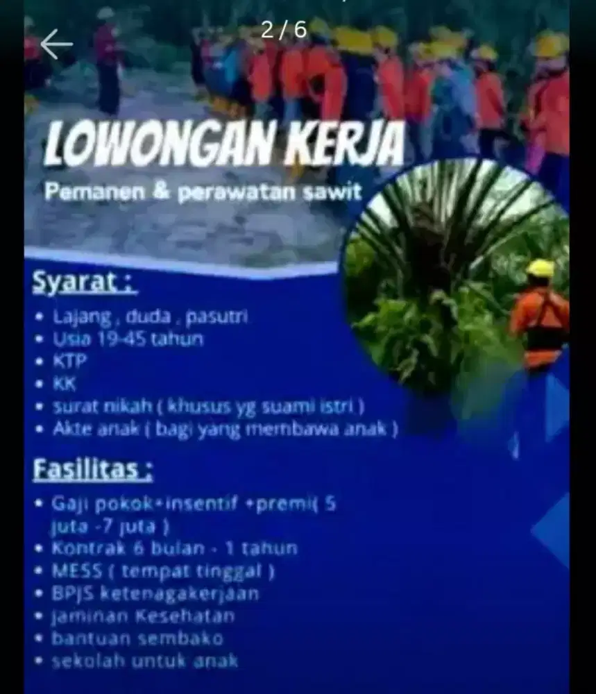 Lowongan kerja perkebunan