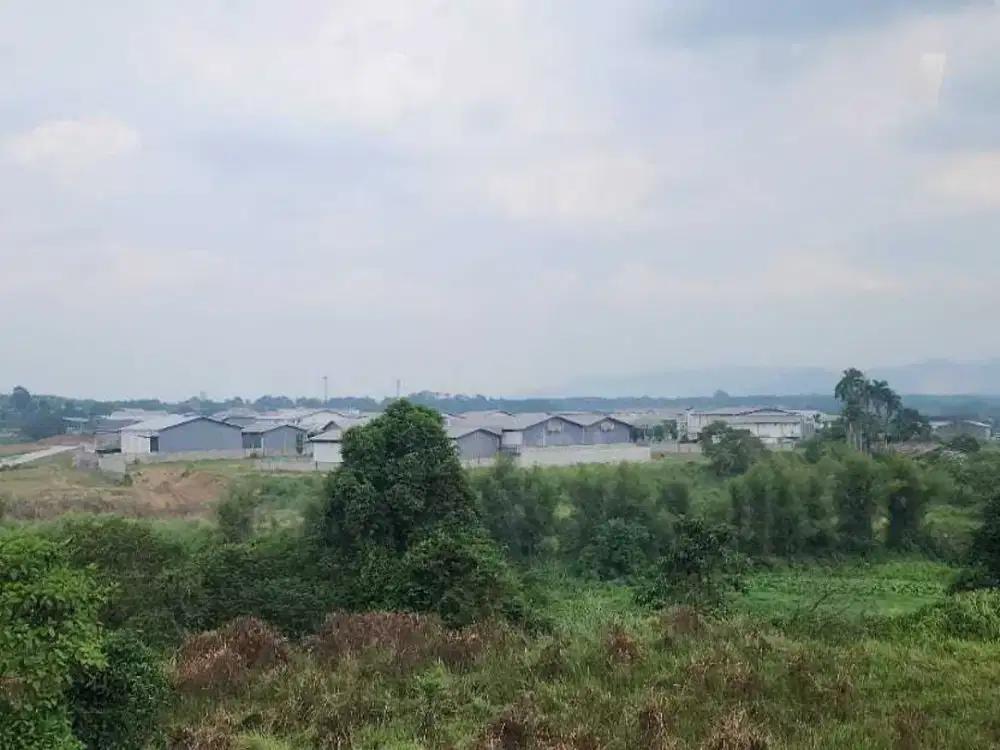Dijual Murah Tanah Kosong Luas 1 Hektar di Bogor