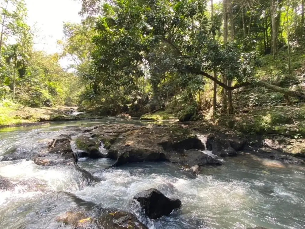 Di jual tanah los sungai bebatuan di kawasan villa dan kawasan wisata