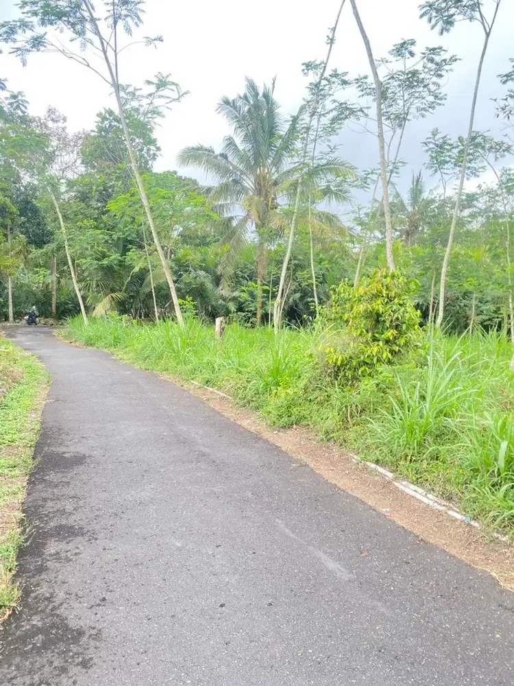 BU tanah strategis cocok untuk villa