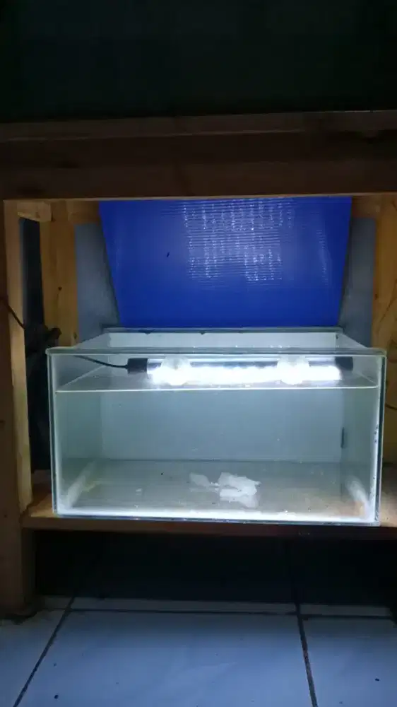 Aquarium 40x30x20 plus lampu aerator