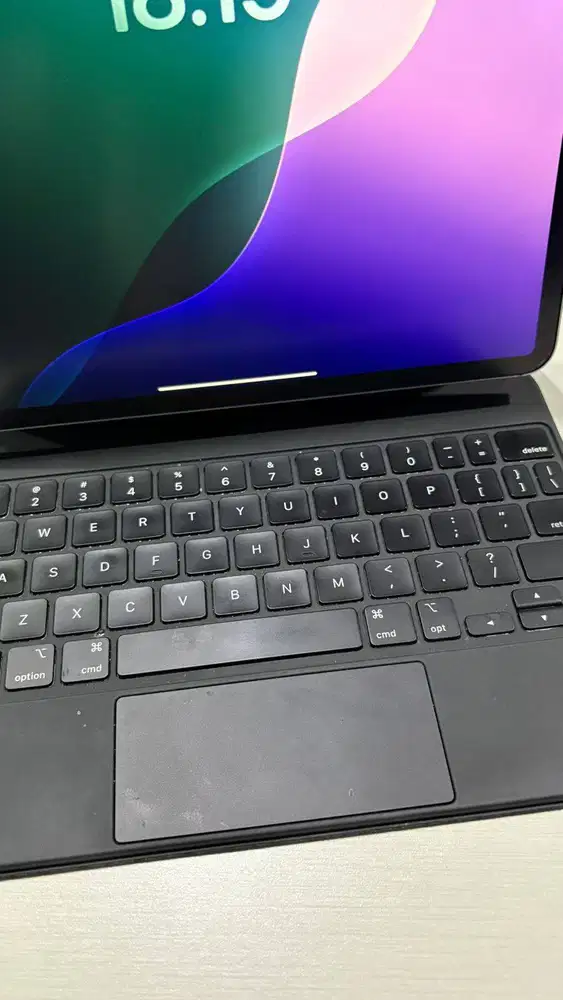 Ipad Pro 11inch 1TB 4th Gen Wifi+Cellular