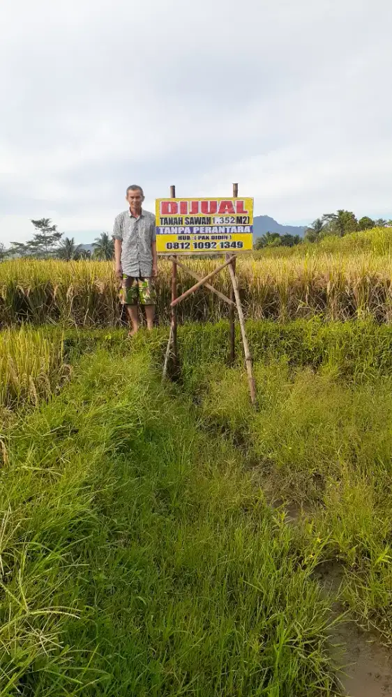 Jual Tanah Sawah + Kolam.