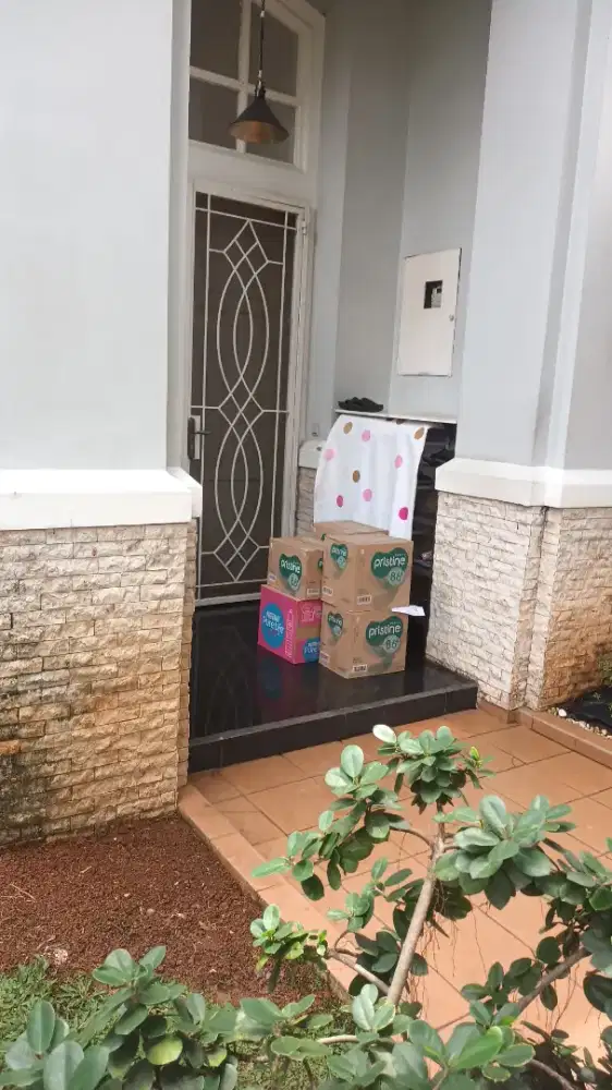 cari kontrakan 1 petak