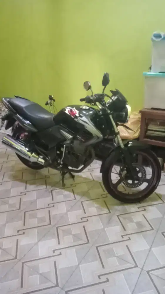 Tiger revo 2008