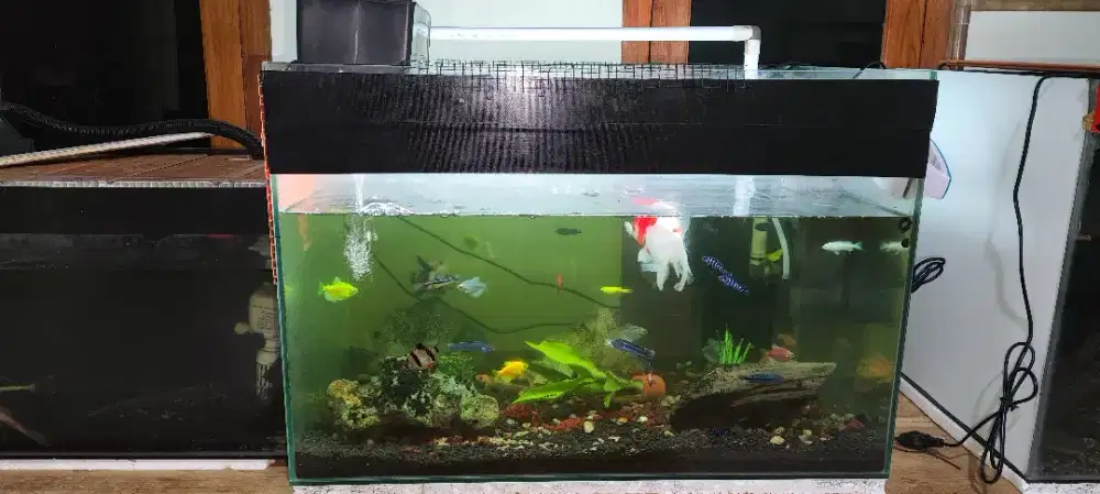 Akuarium bekas 60x40