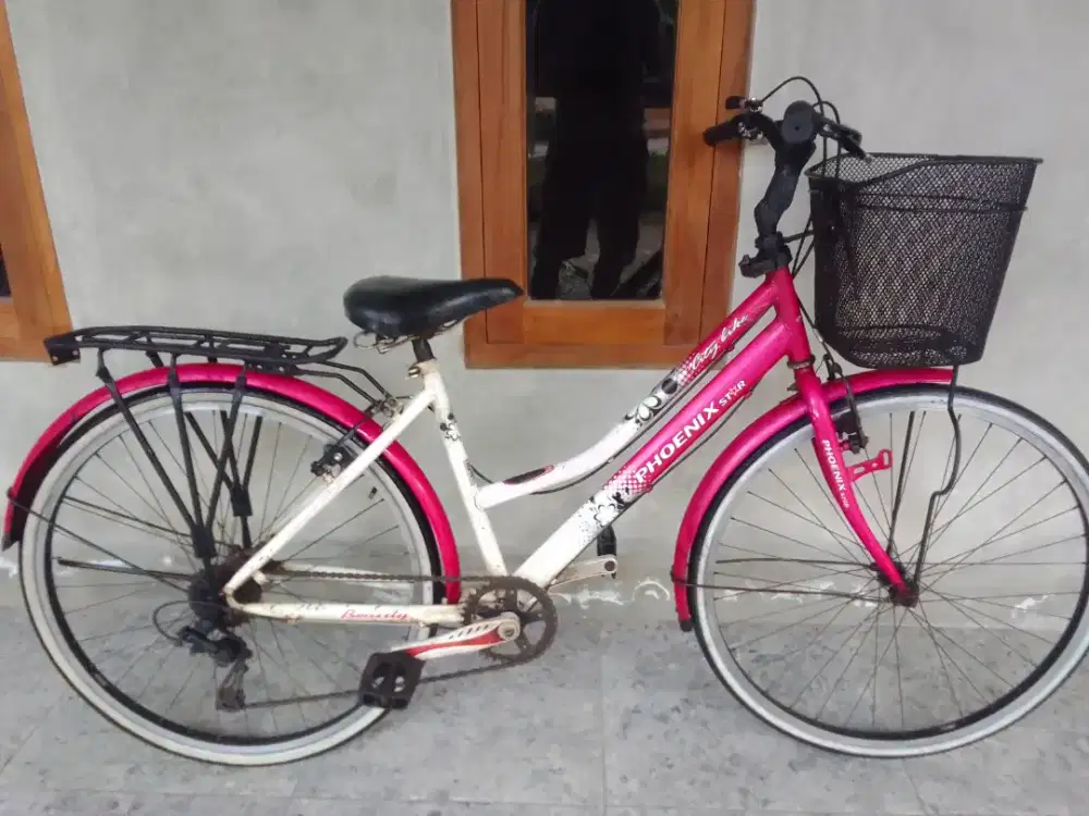 Sepeda keranjang 26