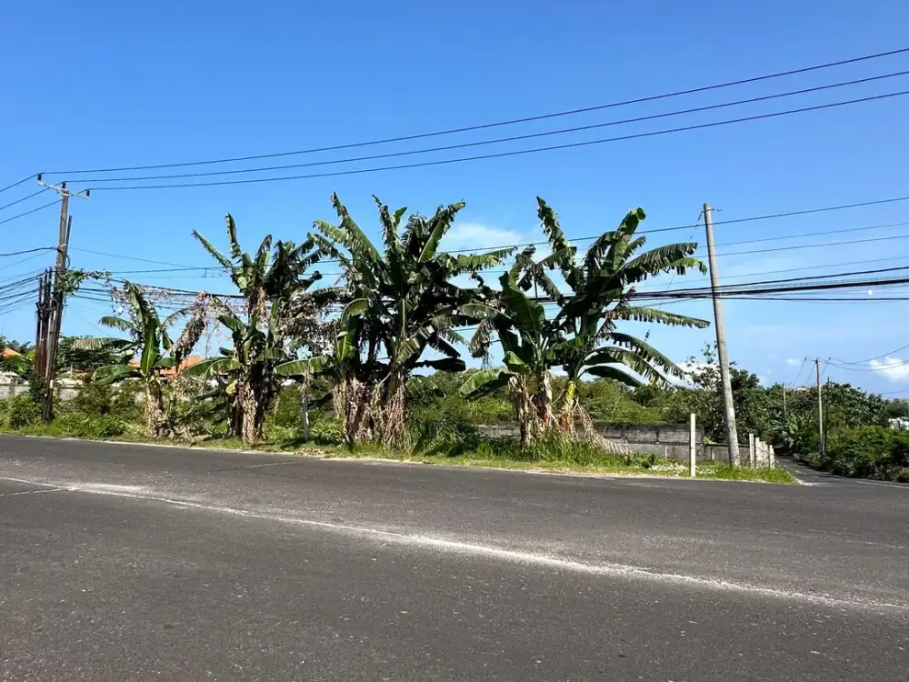 Dijual Tanah 1000m2 Premium Jalan Utama Nusa Dua Selatan