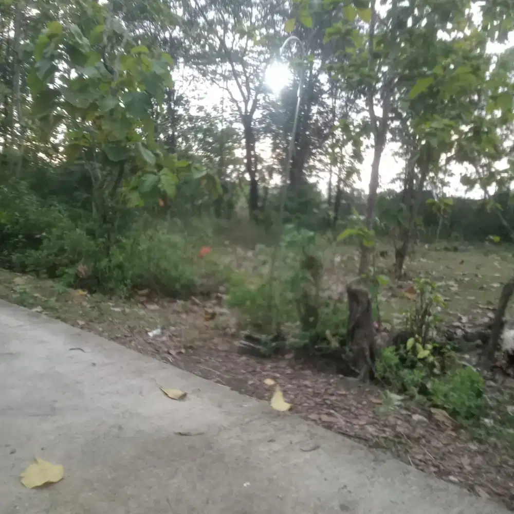 Tanah murah tawangsari sukoharjo