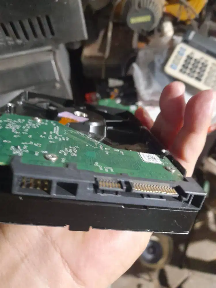 harddisk 1tb bekas murah