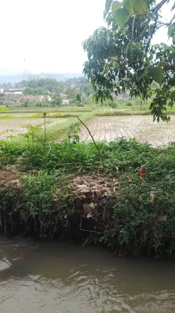 Jual tanah sawah murah
