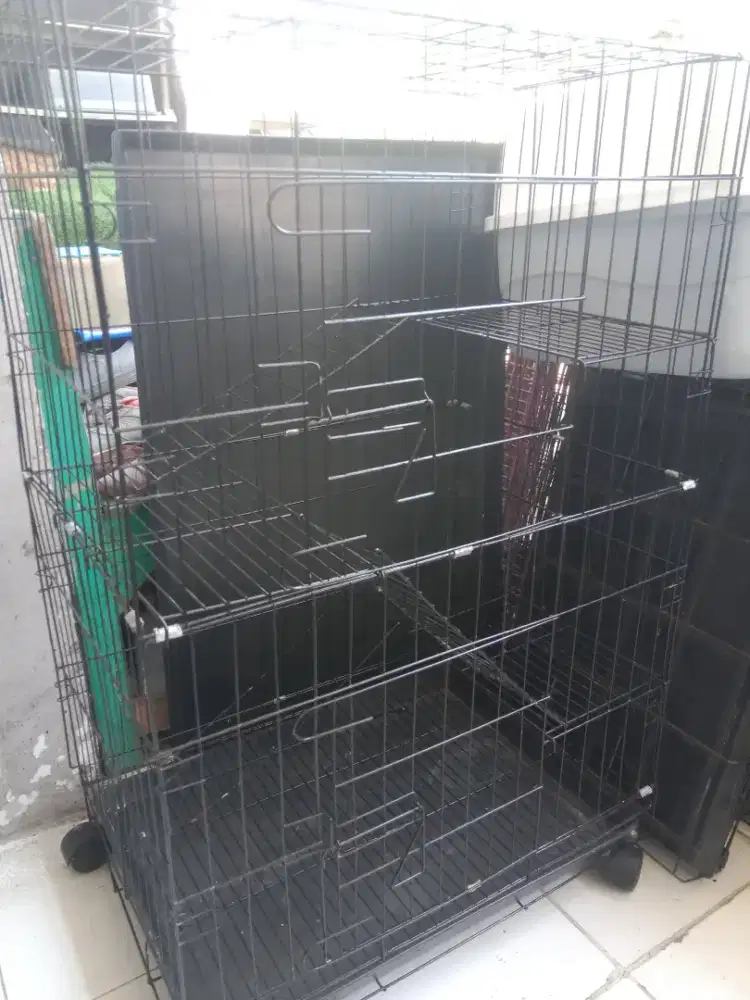 Kandang kucing tingkat